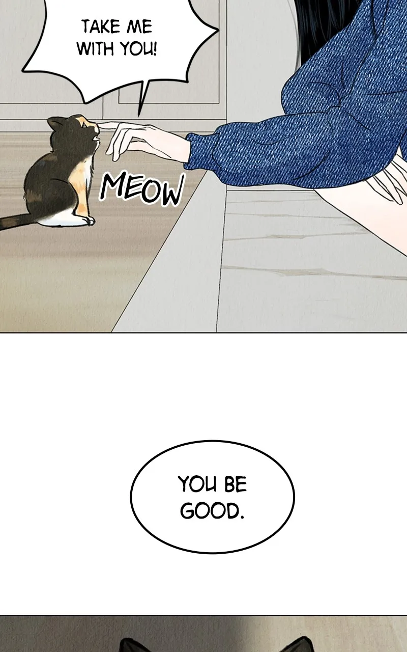 Want to See My Cat? Chapter 4 page 13 - 