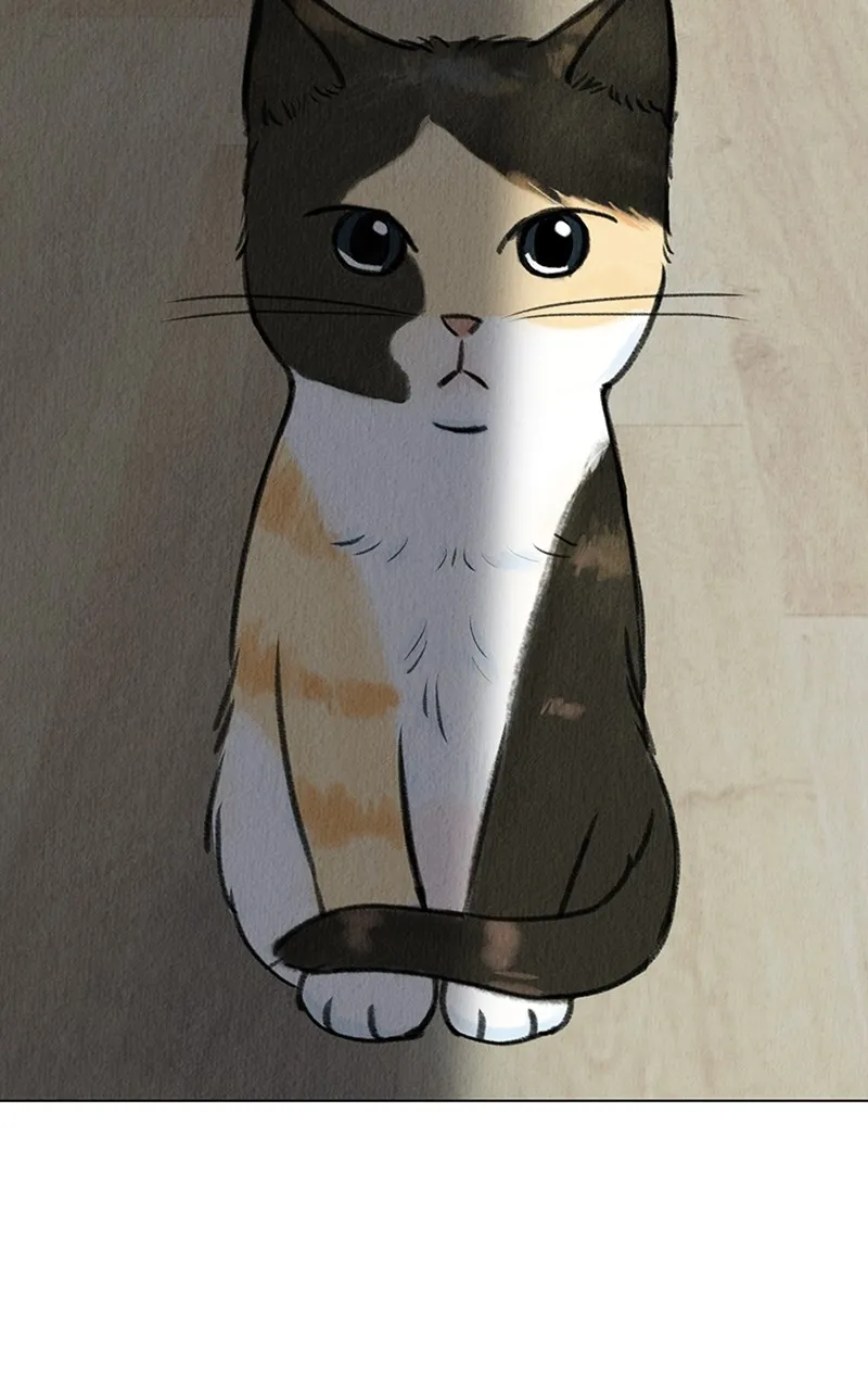 Want to See My Cat? Chapter 4 page 14 - 