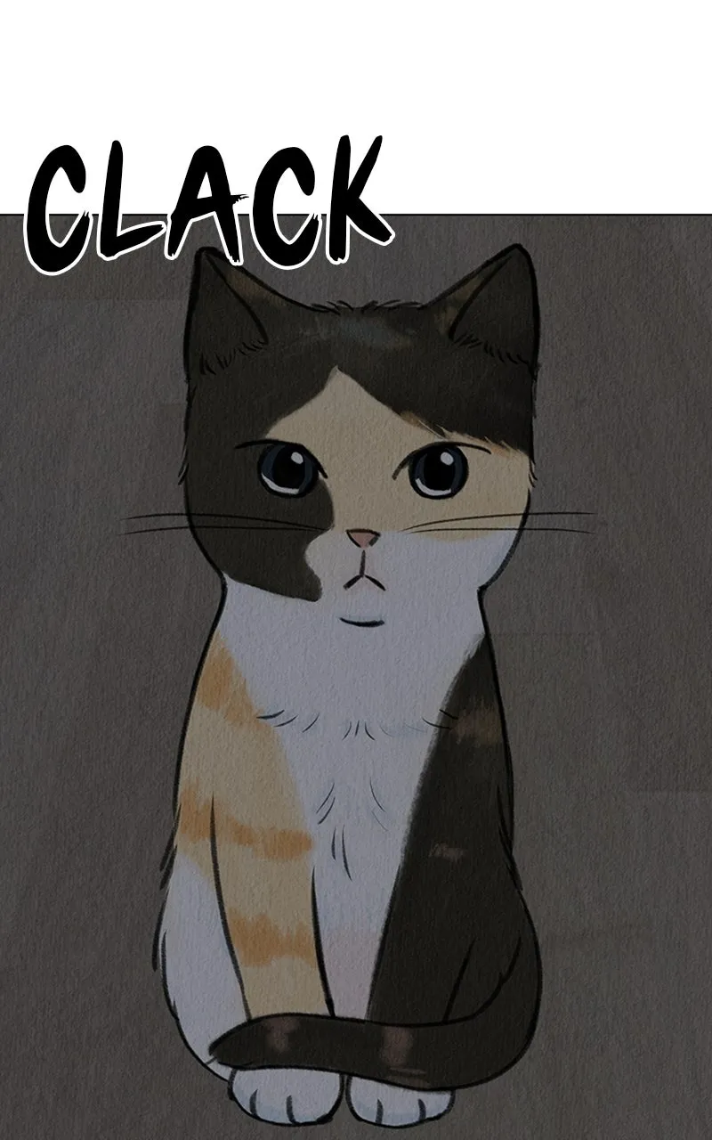 Want to See My Cat? Chapter 4 page 15 - 