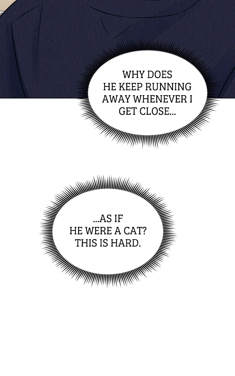 Want to See My Cat? Chapter 4 page 28 - 