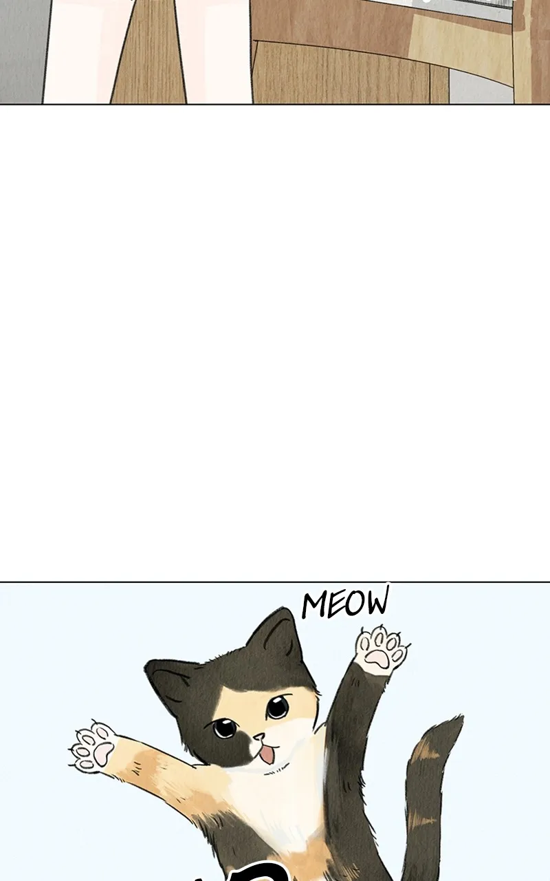 Want to See My Cat? Chapter 4 page 5 - 