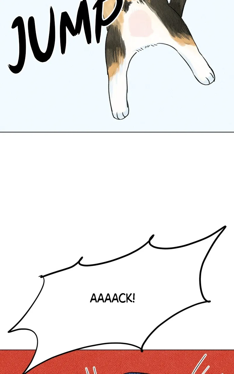 Want to See My Cat? Chapter 4 page 6 - 