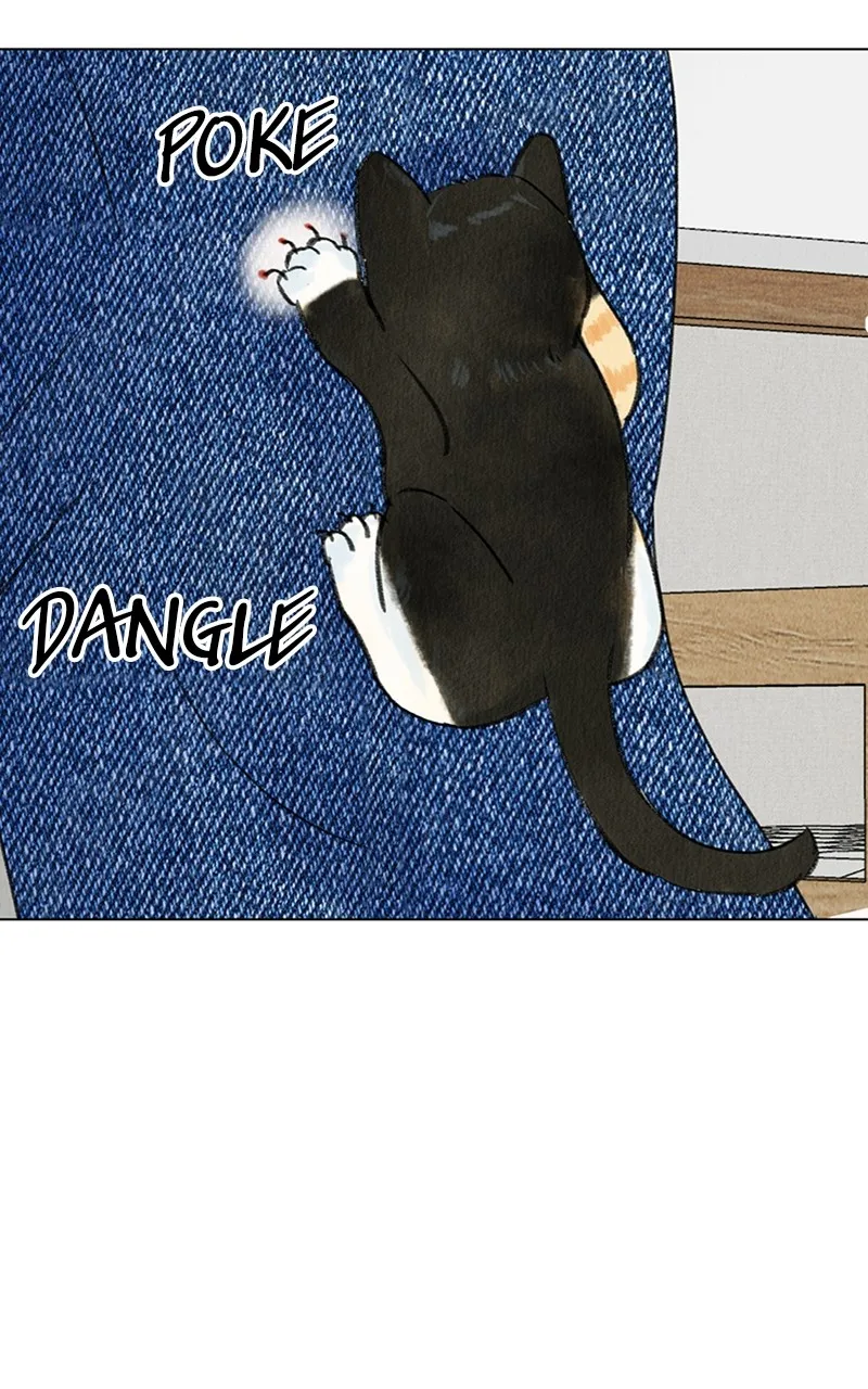 Want to See My Cat? Chapter 4 page 8 - 