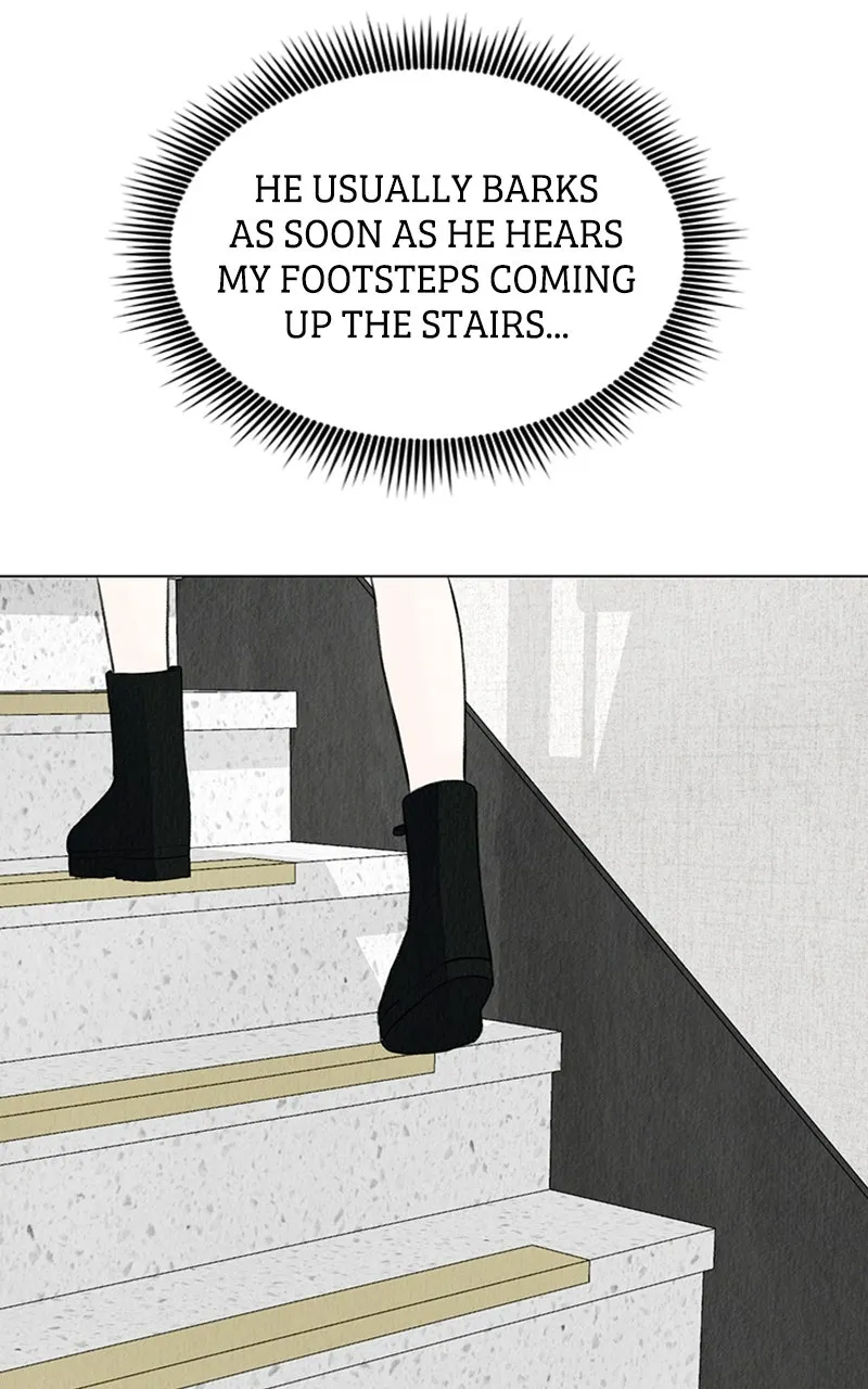 Want to See My Cat? Chapter 4 page 83 - 