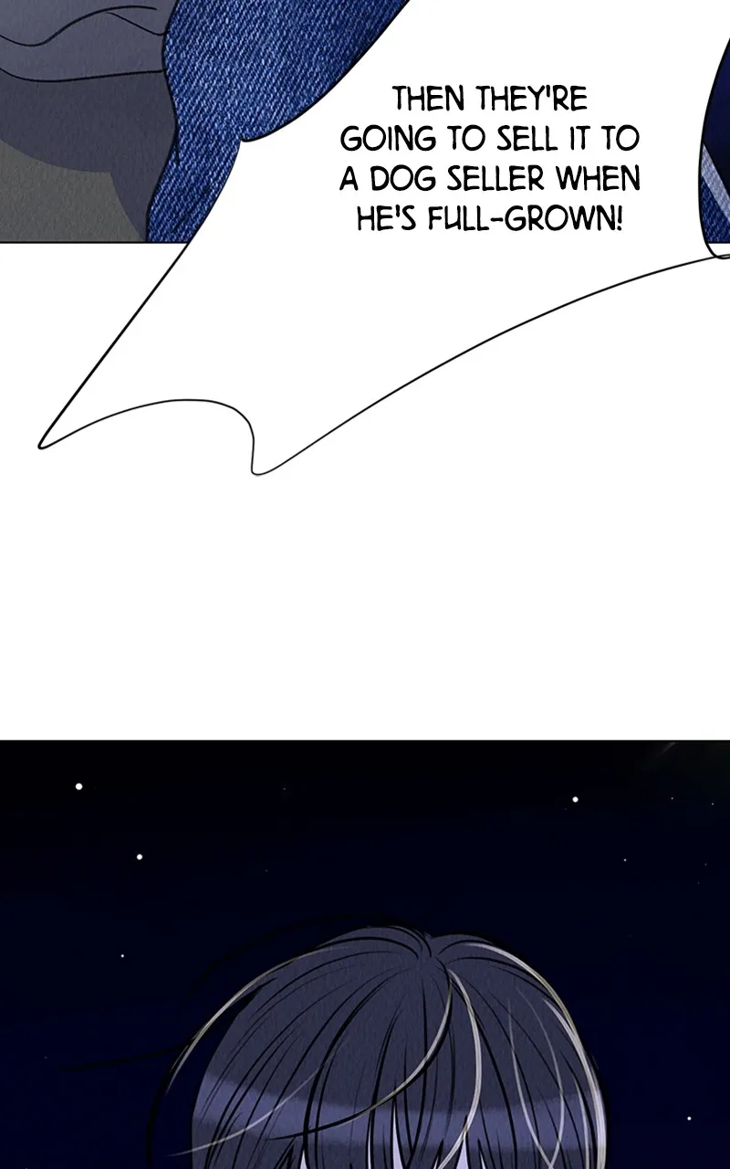 Want to See My Cat? Chapter 5 page 30 - 