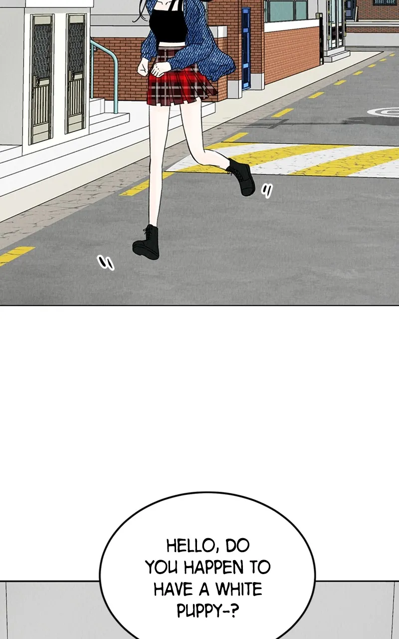 Want to See My Cat? Chapter 5 page 4 - 
