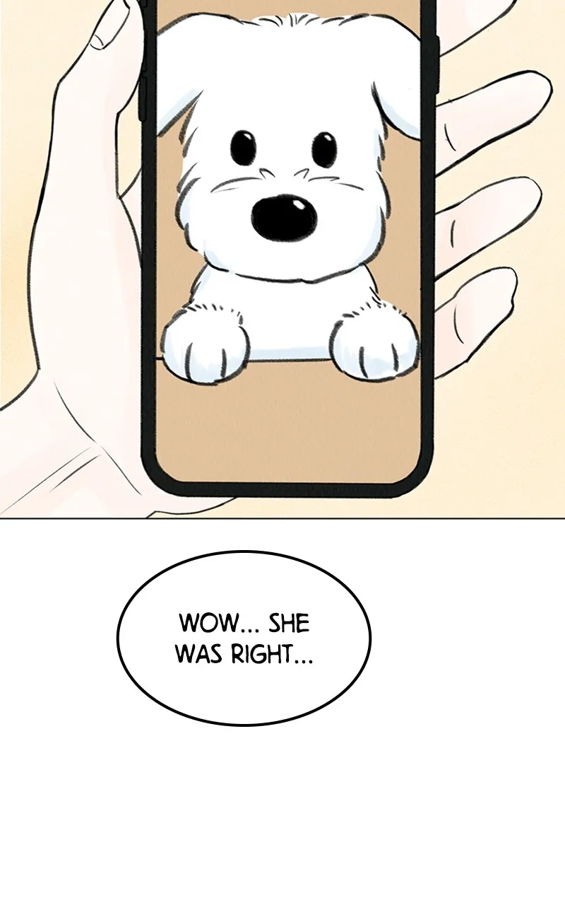 Want to See My Cat? Chapter 5 page 92 - 