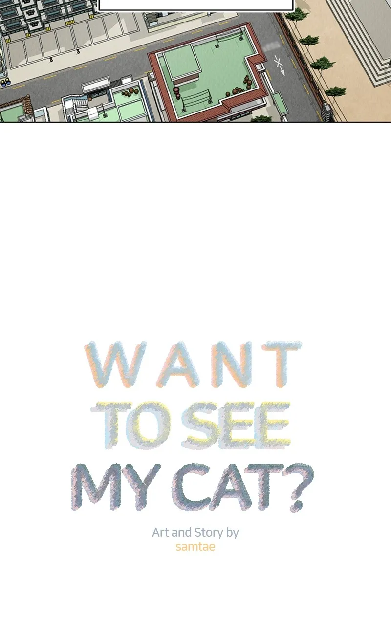 Want to See My Cat? Chapter 6 page 2 - 