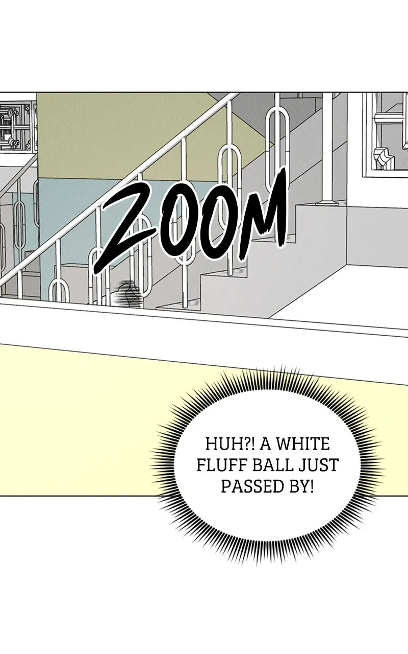 Want to See My Cat? Chapter 6 page 19 - 