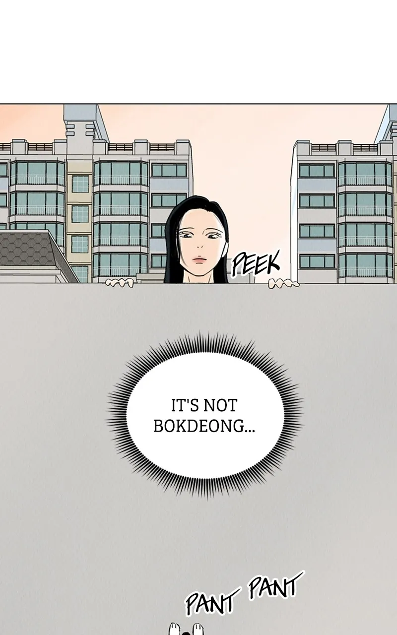 Want to See My Cat? Chapter 6 page 21 - 