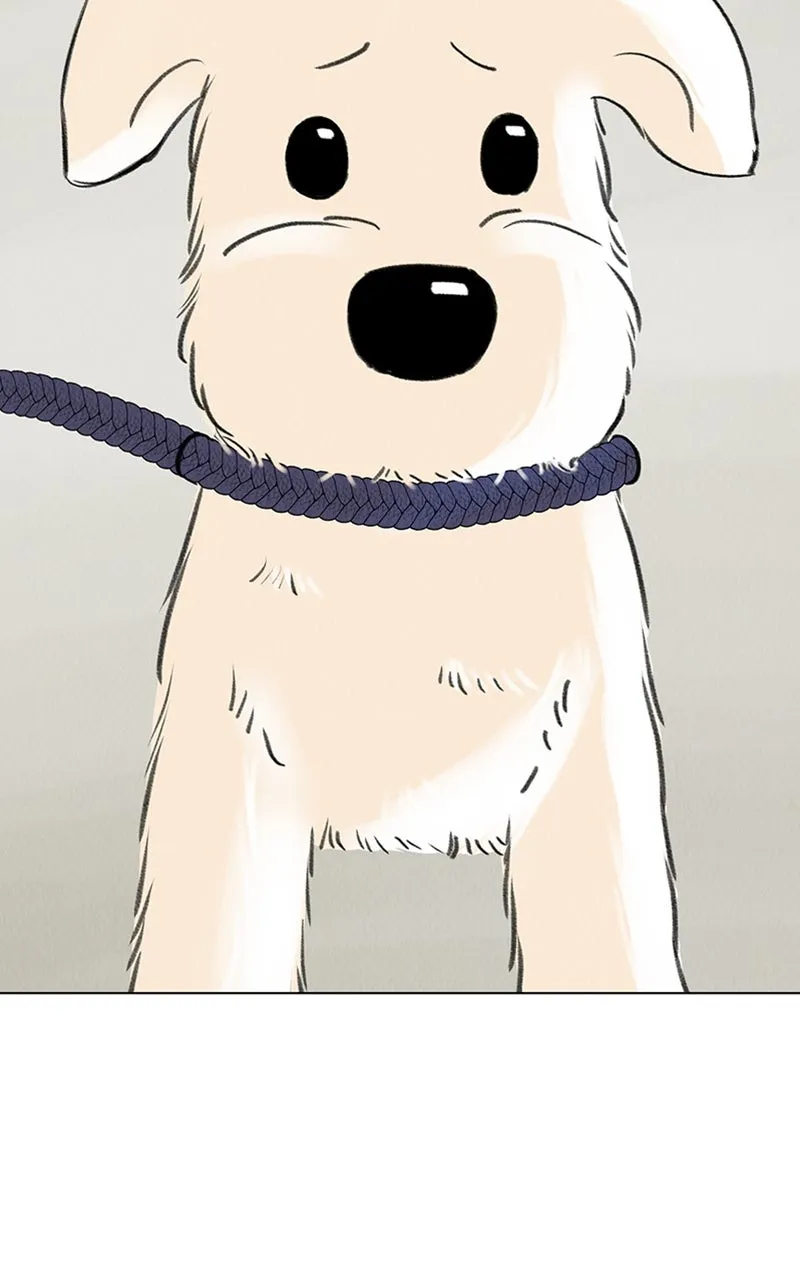Want to See My Cat? Chapter 6 page 33 - 