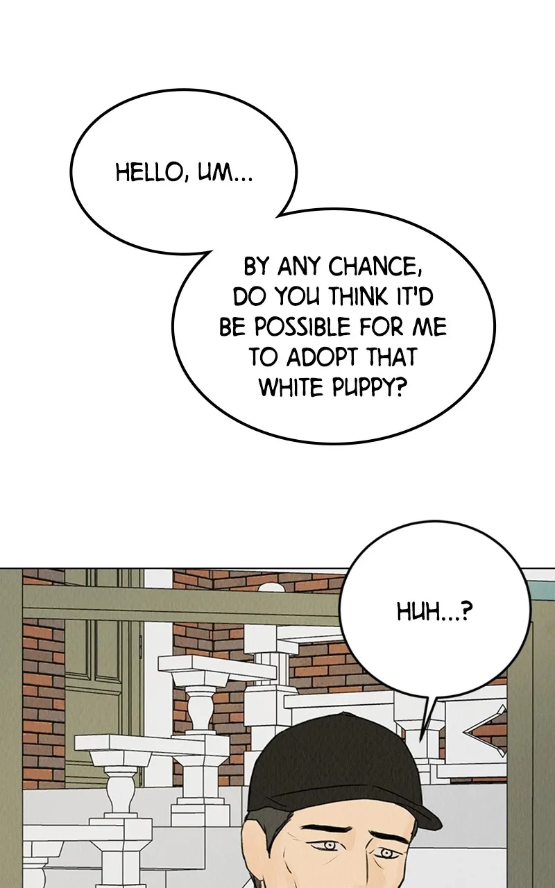 Want to See My Cat? Chapter 6 page 37 - 