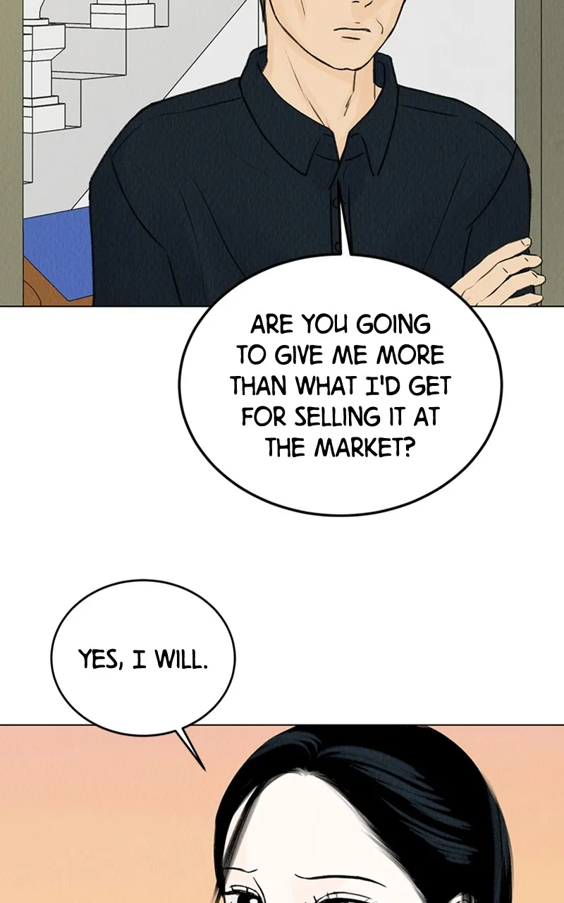Want to See My Cat? Chapter 6 page 38 - 