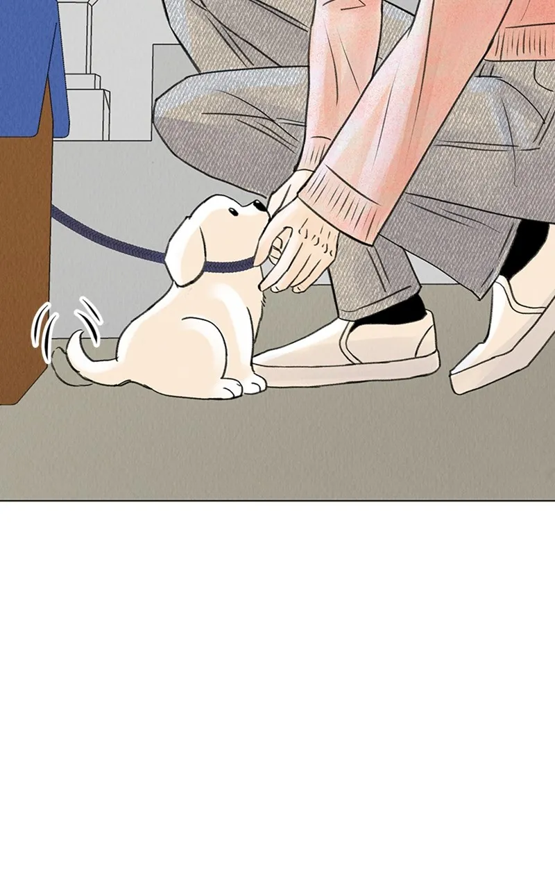 Want to See My Cat? Chapter 6 page 44 - 