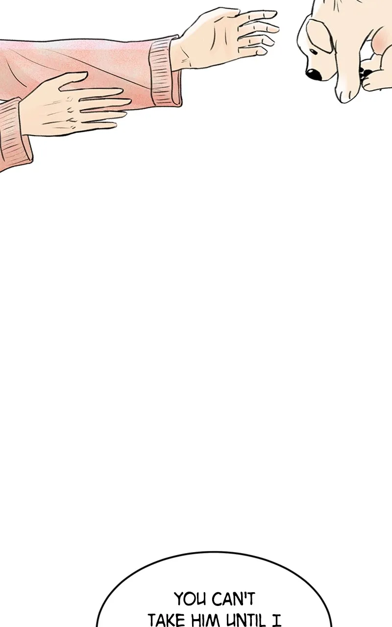 Want to See My Cat? Chapter 6 page 48 - 