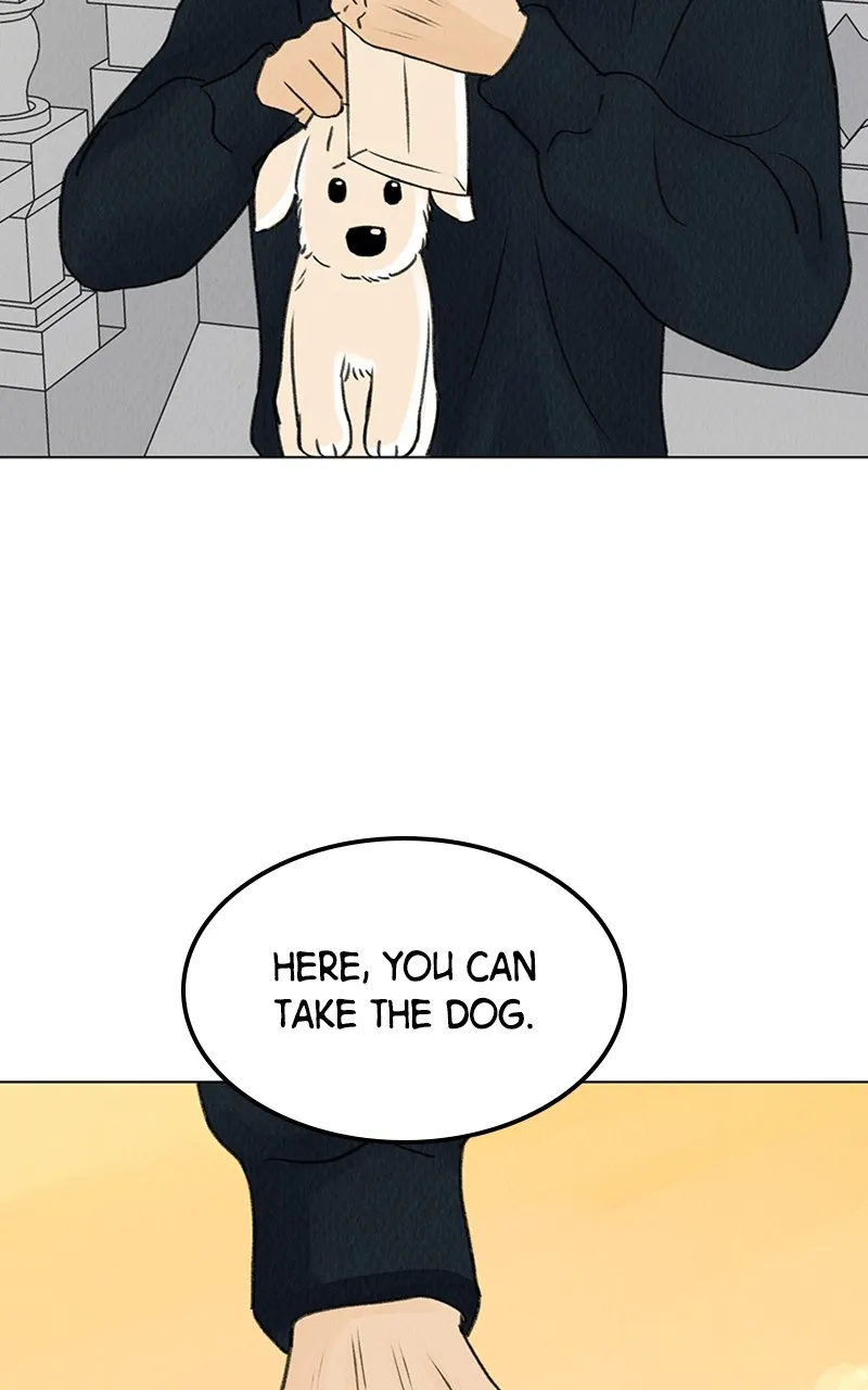 Want to See My Cat? Chapter 6 page 53 - 