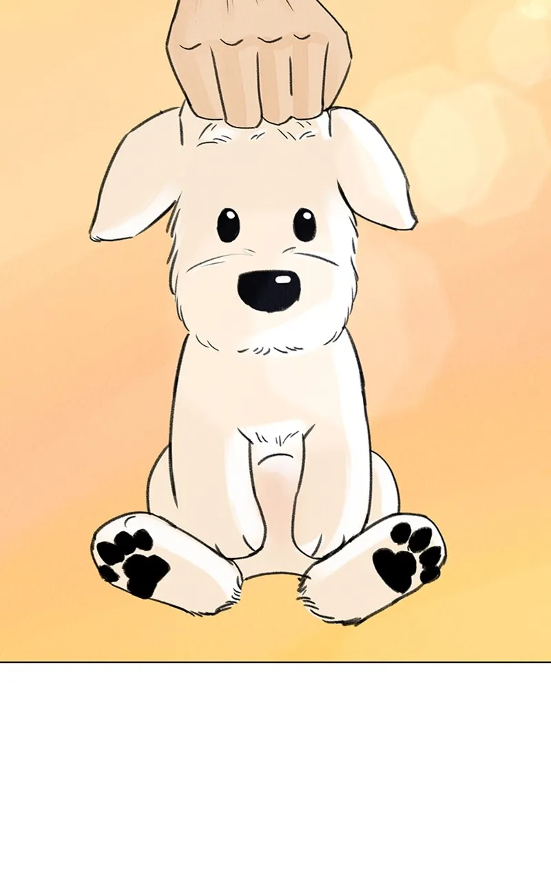 Want to See My Cat? Chapter 6 page 54 - 