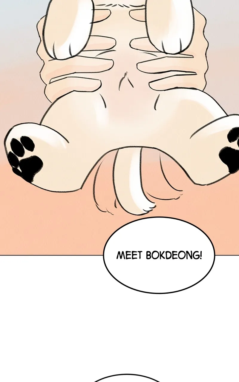 Want to See My Cat? Chapter 6 page 59 - 