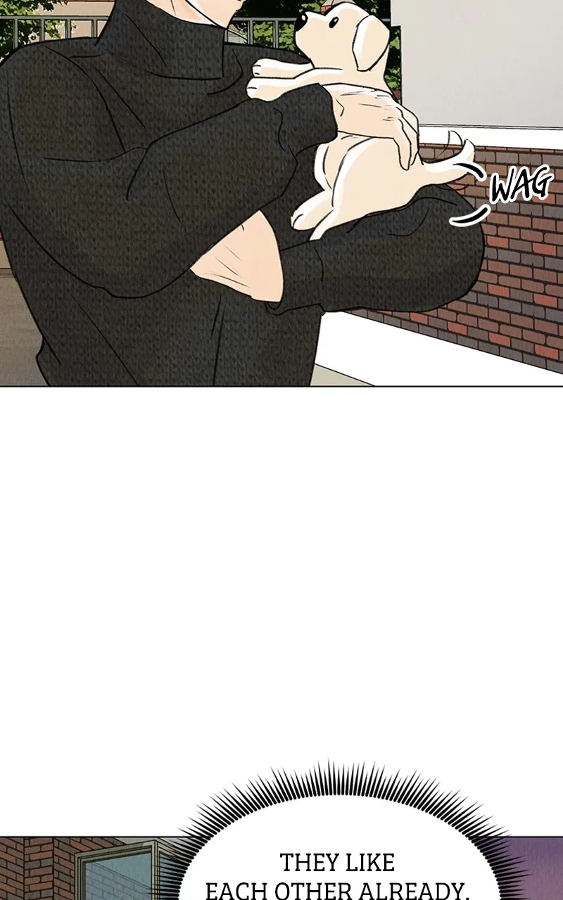 Want to See My Cat? Chapter 6 page 62 - 