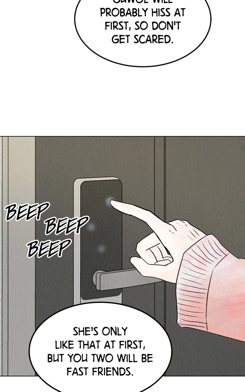 Want to See My Cat? Chapter 6 page 71 - 