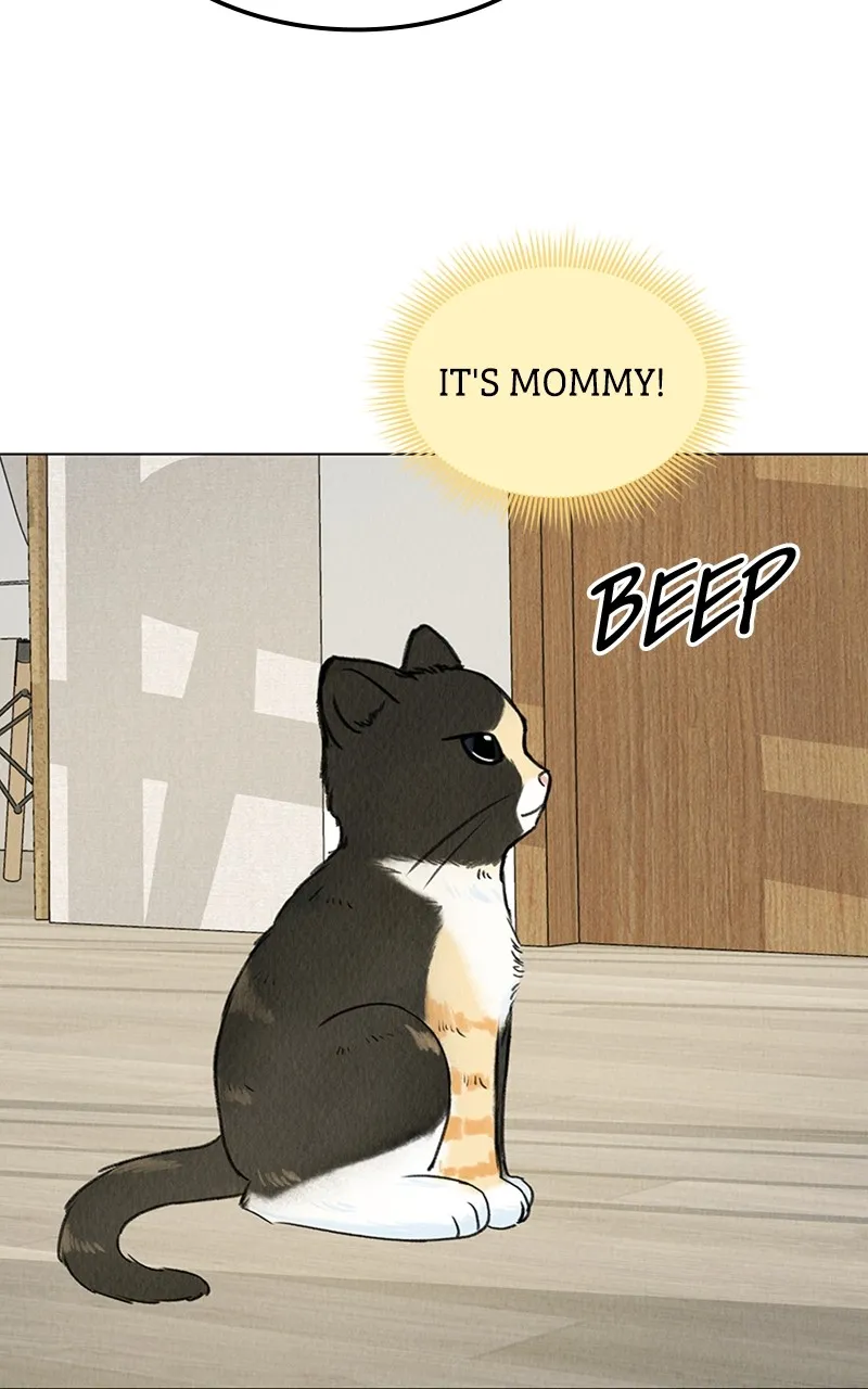 Want to See My Cat? Chapter 6 page 72 - 
