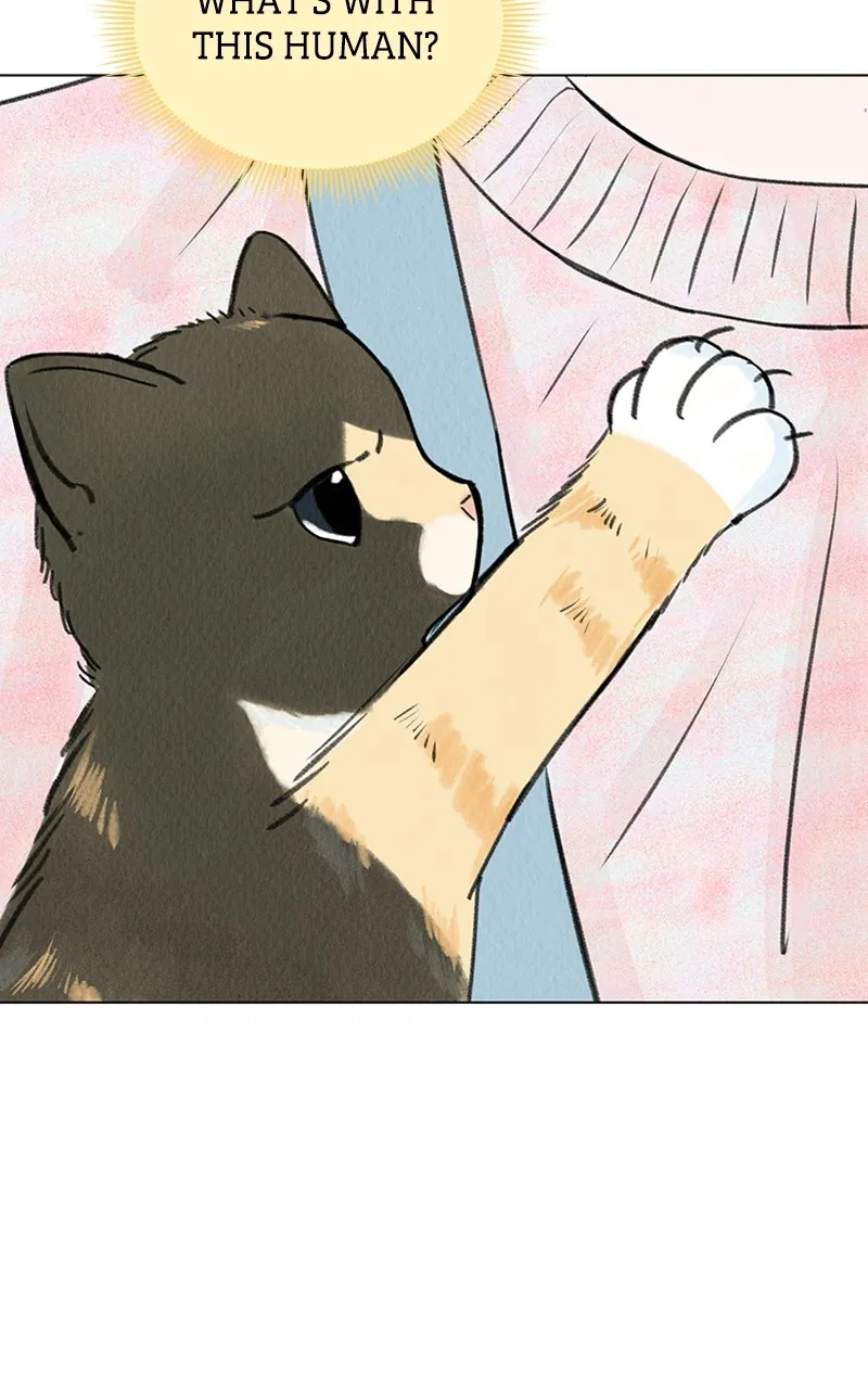 Want to See My Cat? Chapter 6 page 76 - 