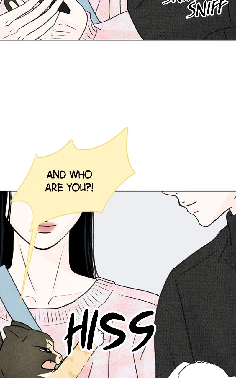 Want to See My Cat? Chapter 6 page 78 - 