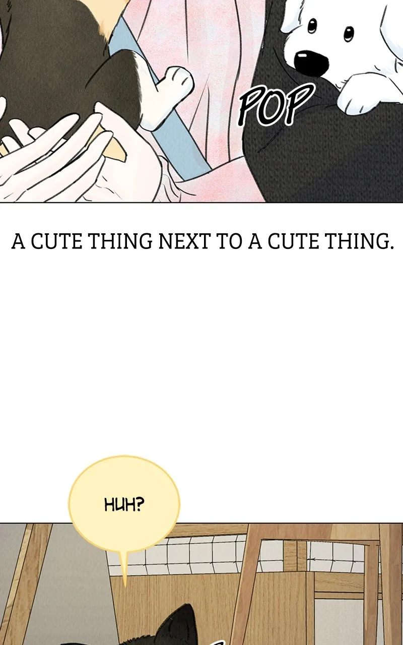 Want to See My Cat? Chapter 6 page 79 - 