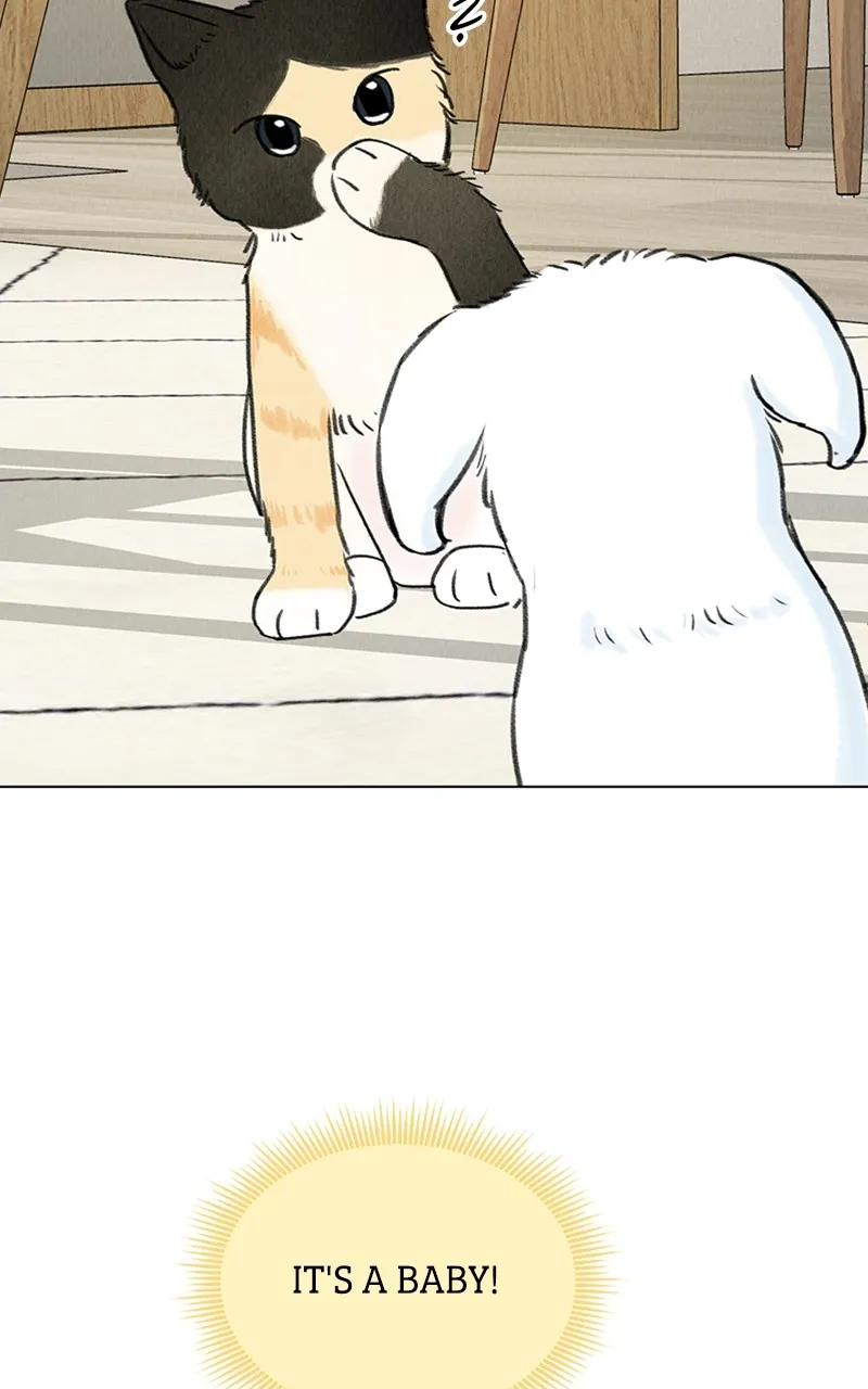 Want to See My Cat? Chapter 6 page 80 - 