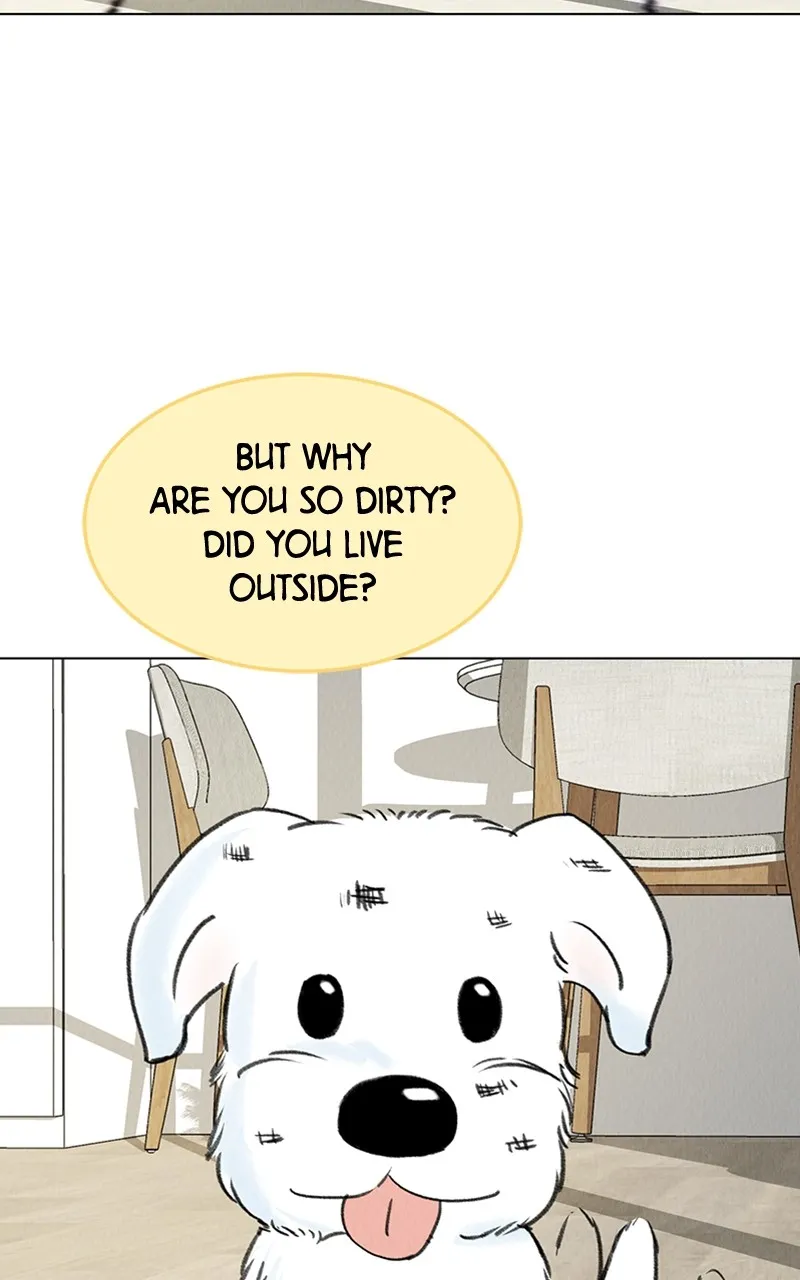 Want to See My Cat? Chapter 6 page 83 - 