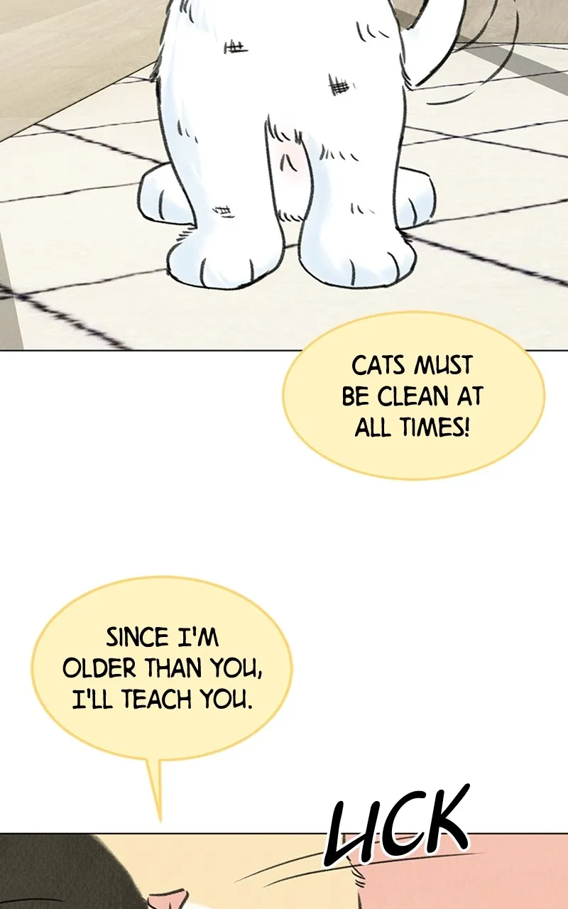 Want to See My Cat? Chapter 6 page 84 - 