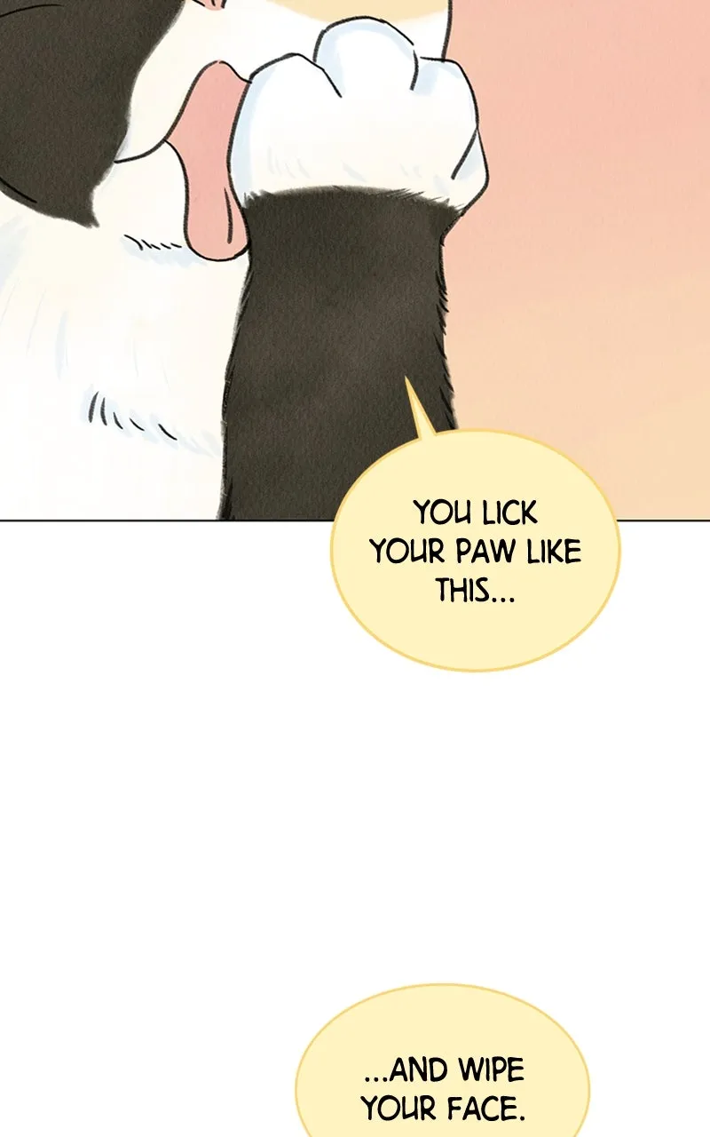 Want to See My Cat? Chapter 6 page 85 - 
