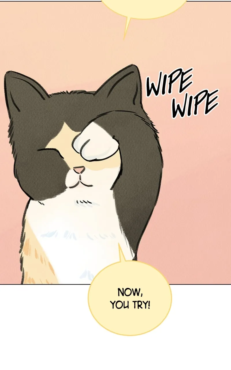 Want to See My Cat? Chapter 6 page 86 - 