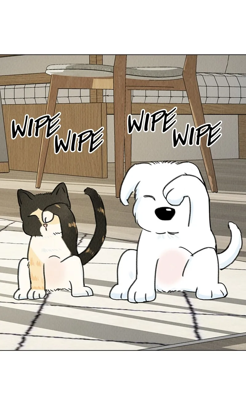 Want to See My Cat? Chapter 6 page 87 - 