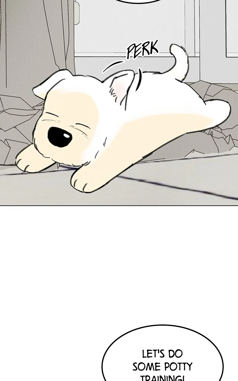 Want to See My Cat? Chapter 7 page 22 - 