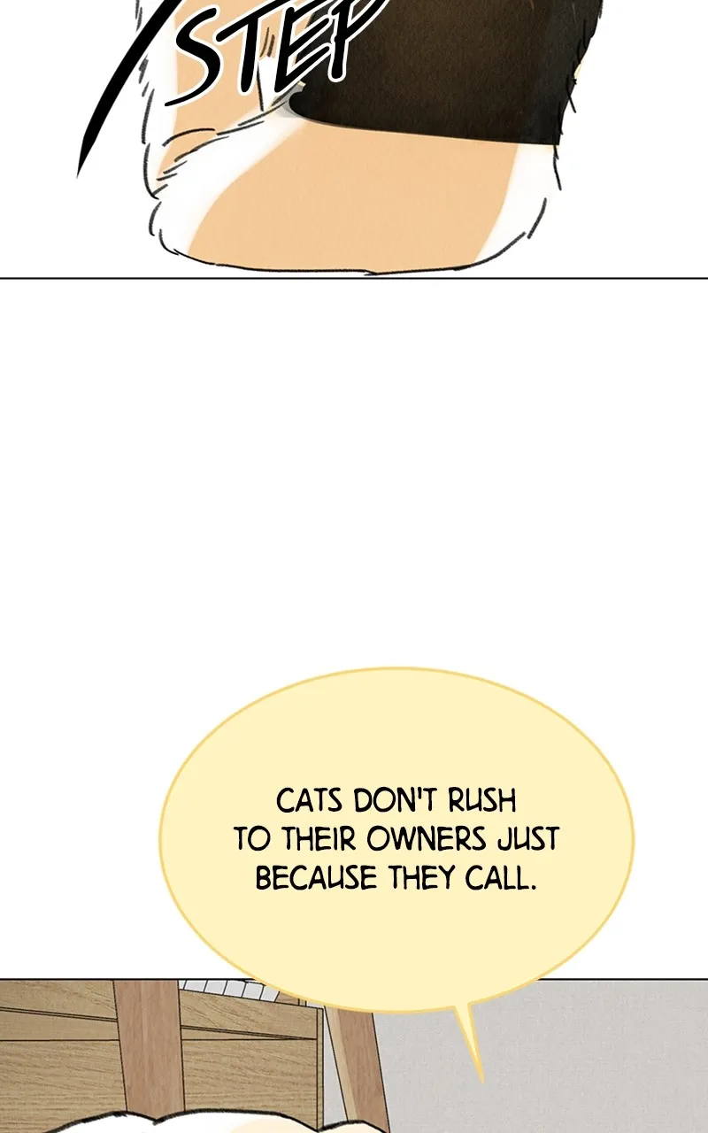 Want to See My Cat? Chapter 7 page 25 - 
