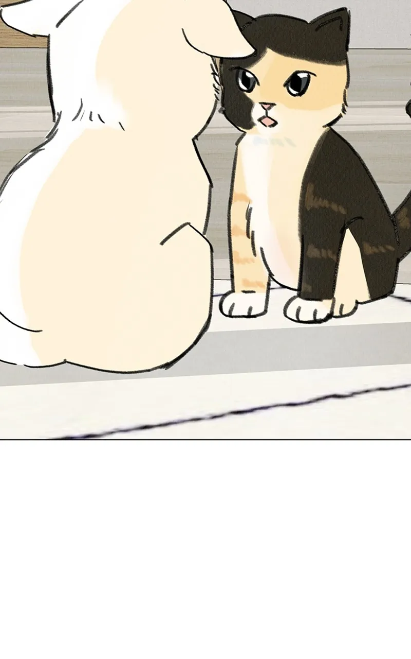 Want to See My Cat? Chapter 7 page 26 - 