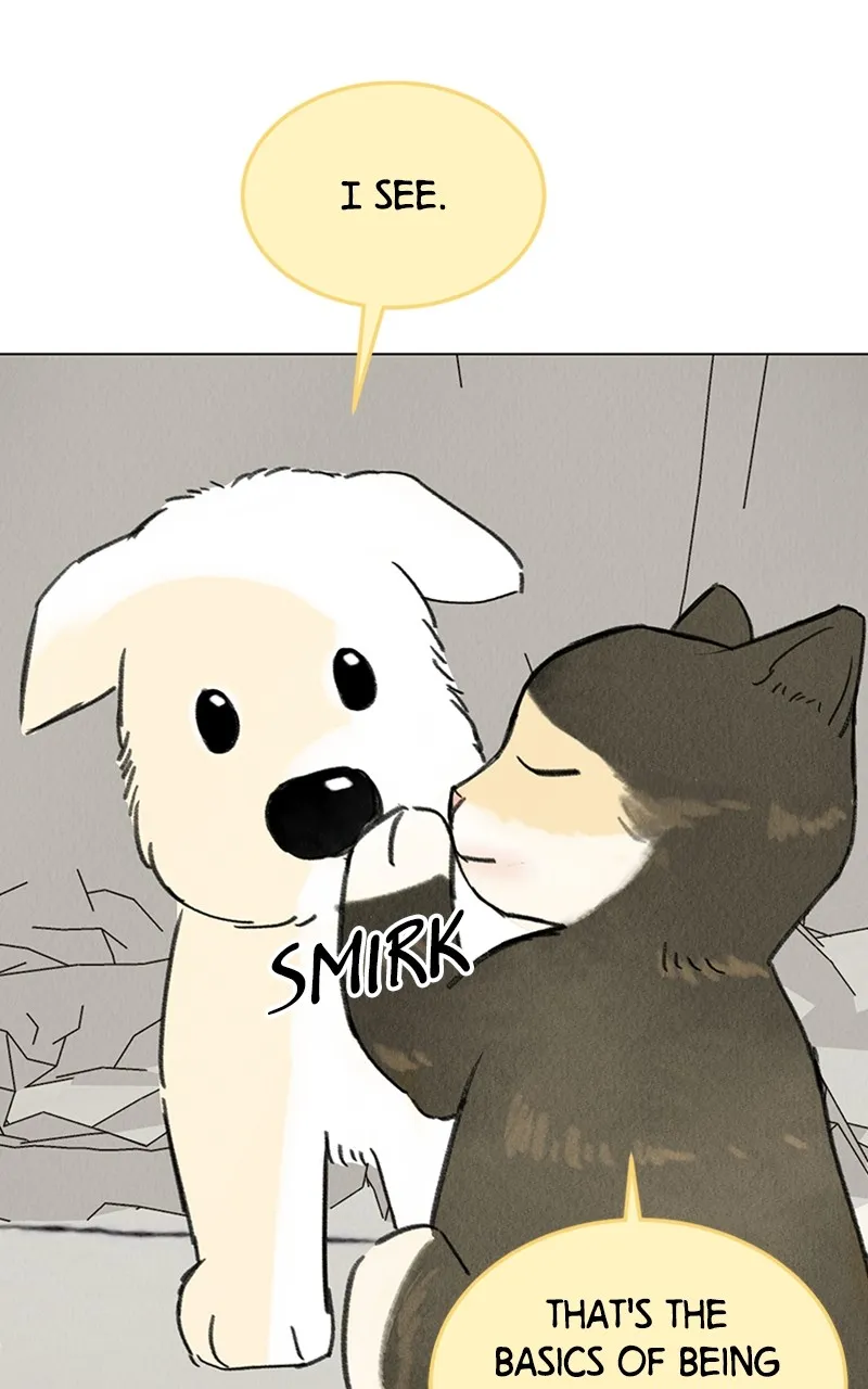 Want to See My Cat? Chapter 7 page 27 - 