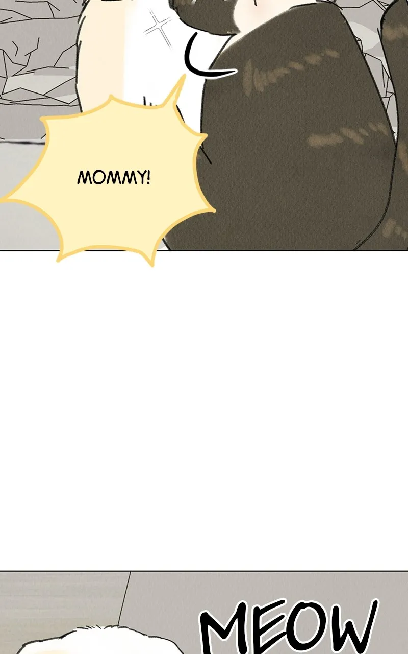 Want to See My Cat? Chapter 7 page 29 - 