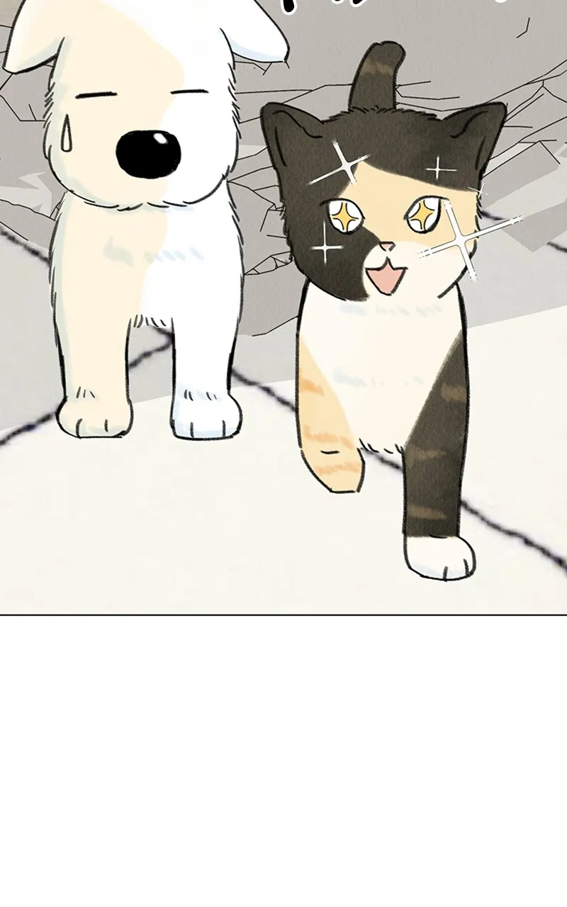 Want to See My Cat? Chapter 7 page 30 - 