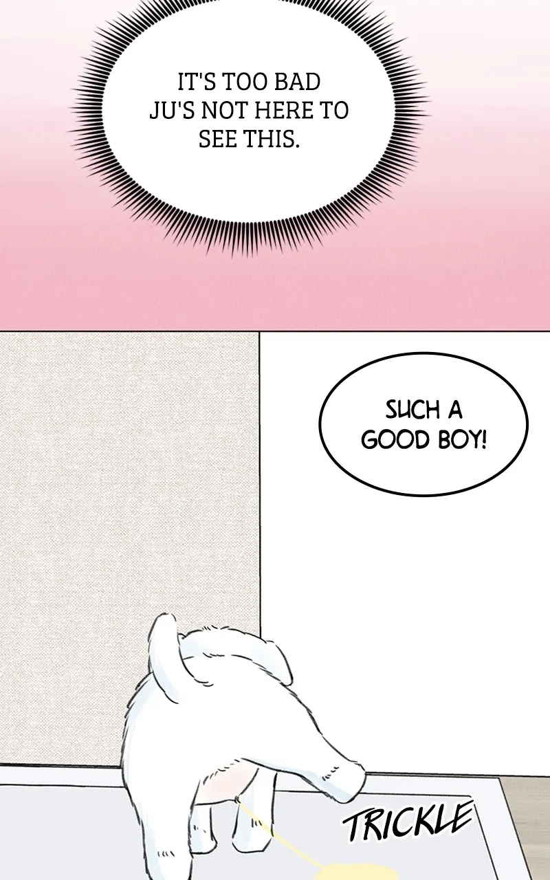Want to See My Cat? Chapter 7 page 34 - 
