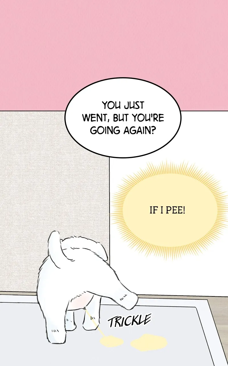 Want to See My Cat? Chapter 7 page 38 - 