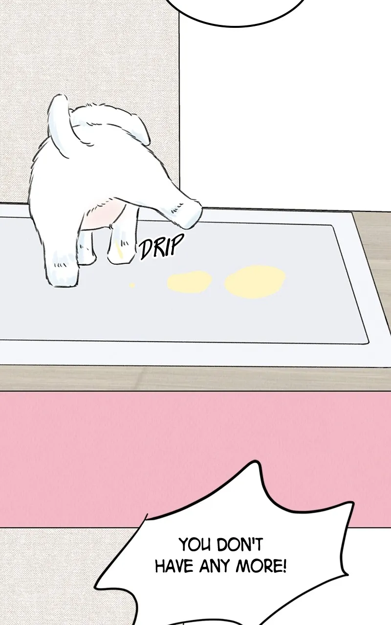Want to See My Cat? Chapter 7 page 41 - 