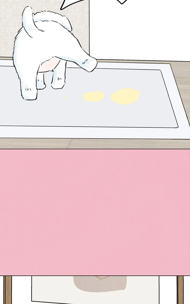Want to See My Cat? Chapter 7 page 42 - 