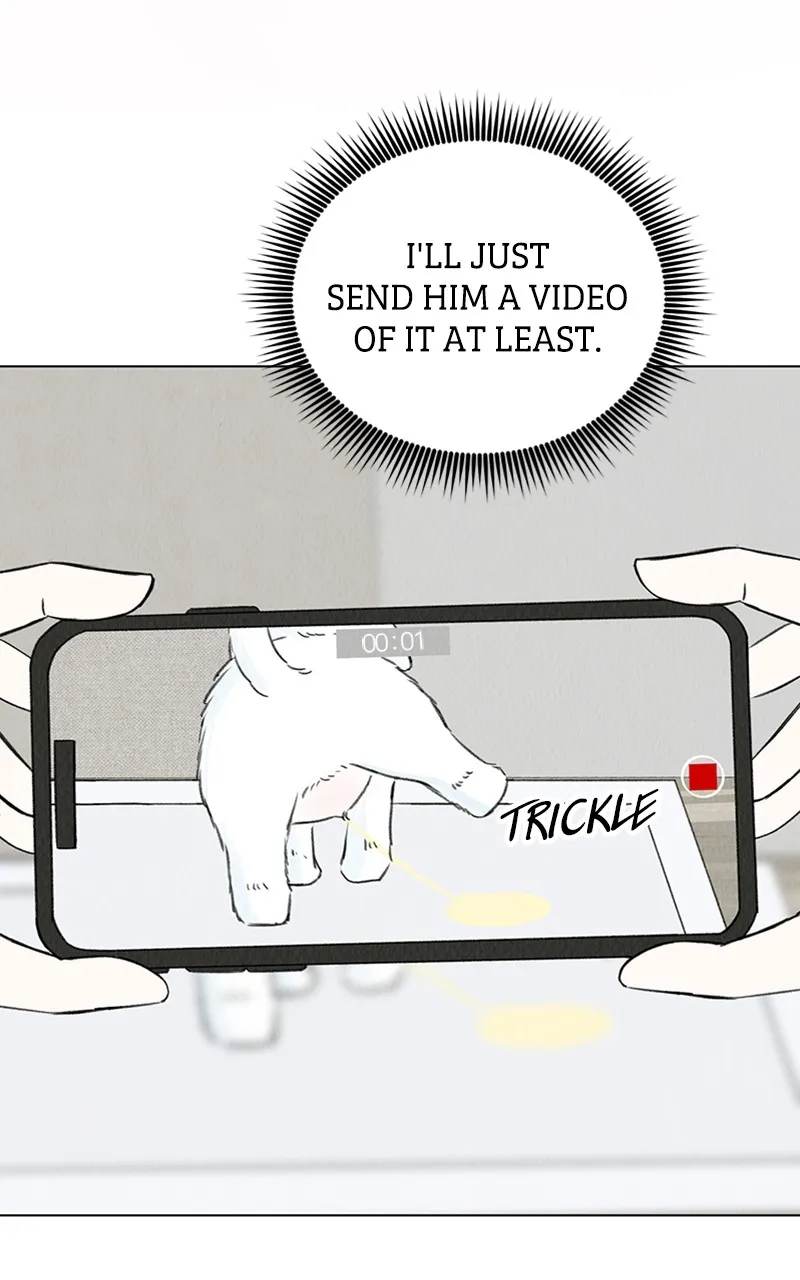 Want to See My Cat? Chapter 7 page 45 - 