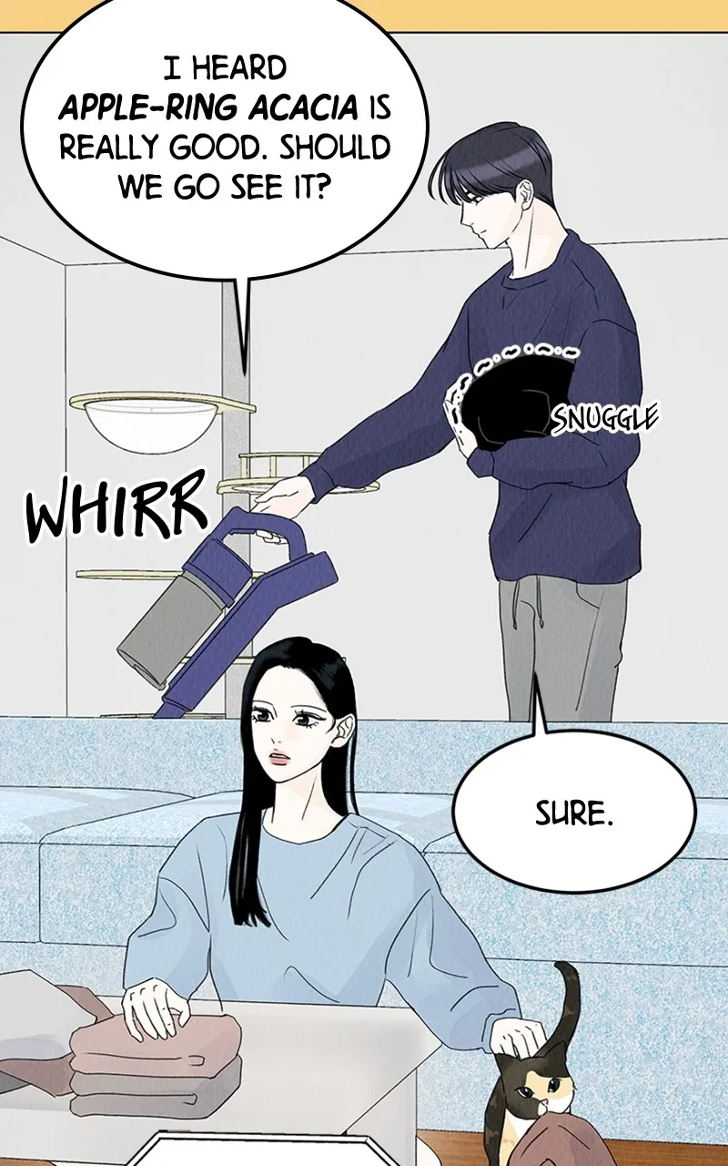 Want to See My Cat? Chapter 8 page 24 - 