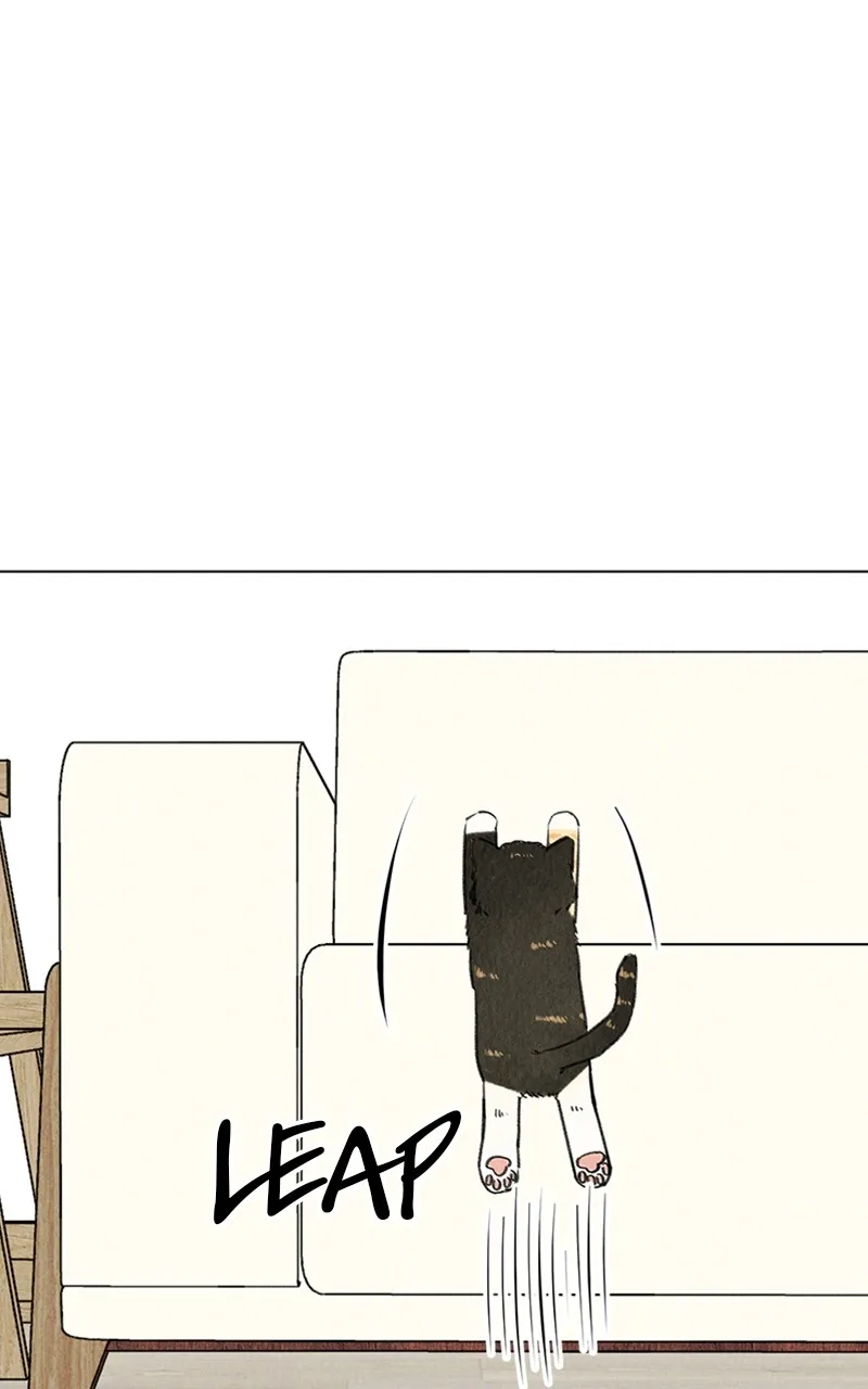 Want to See My Cat? Chapter 9 page 11 - 
