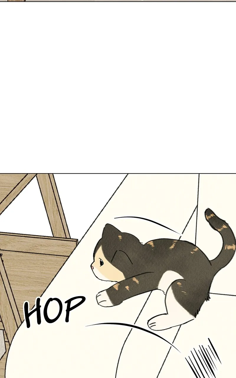 Want to See My Cat? Chapter 9 page 12 - 