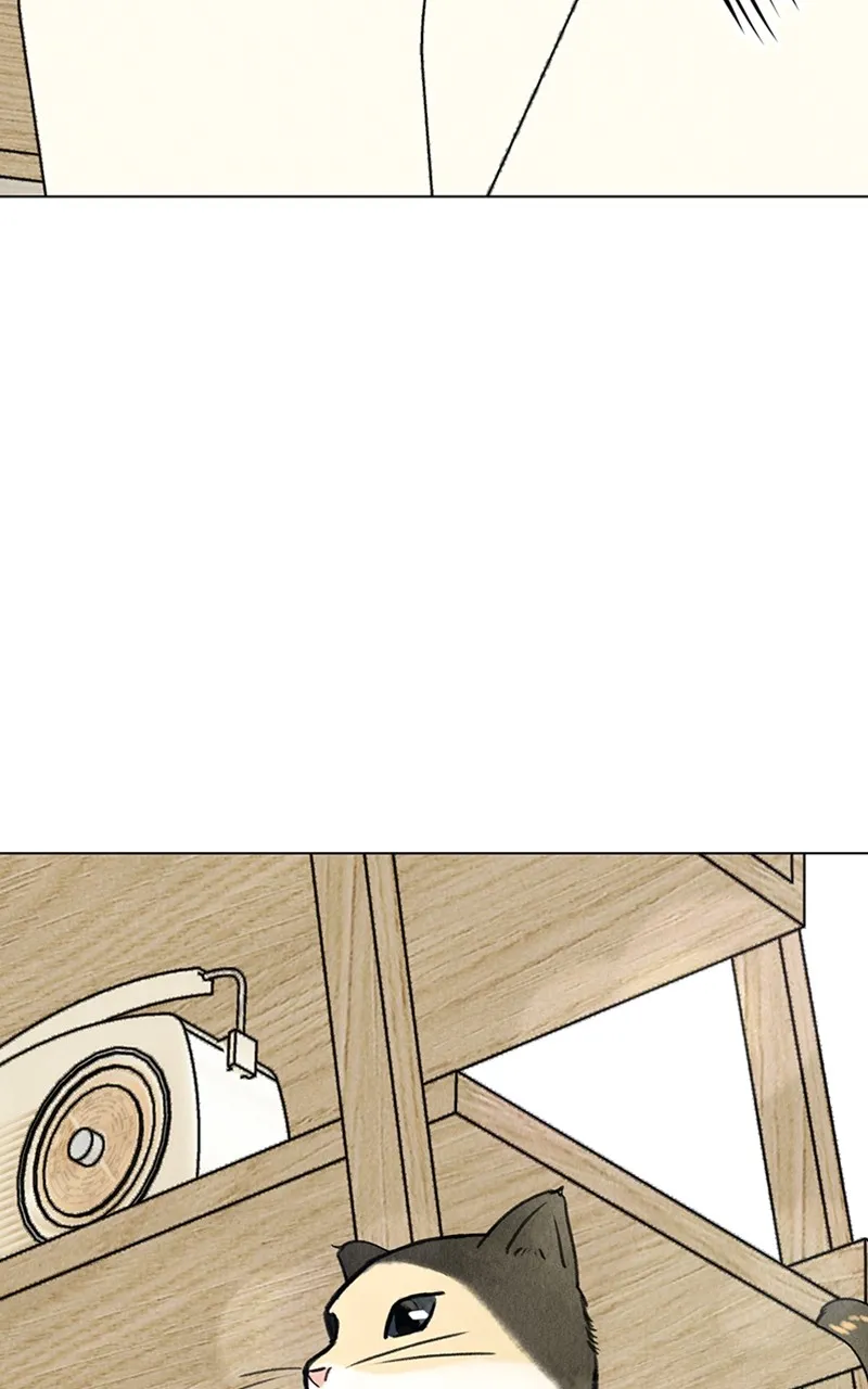 Want to See My Cat? Chapter 9 page 13 - 