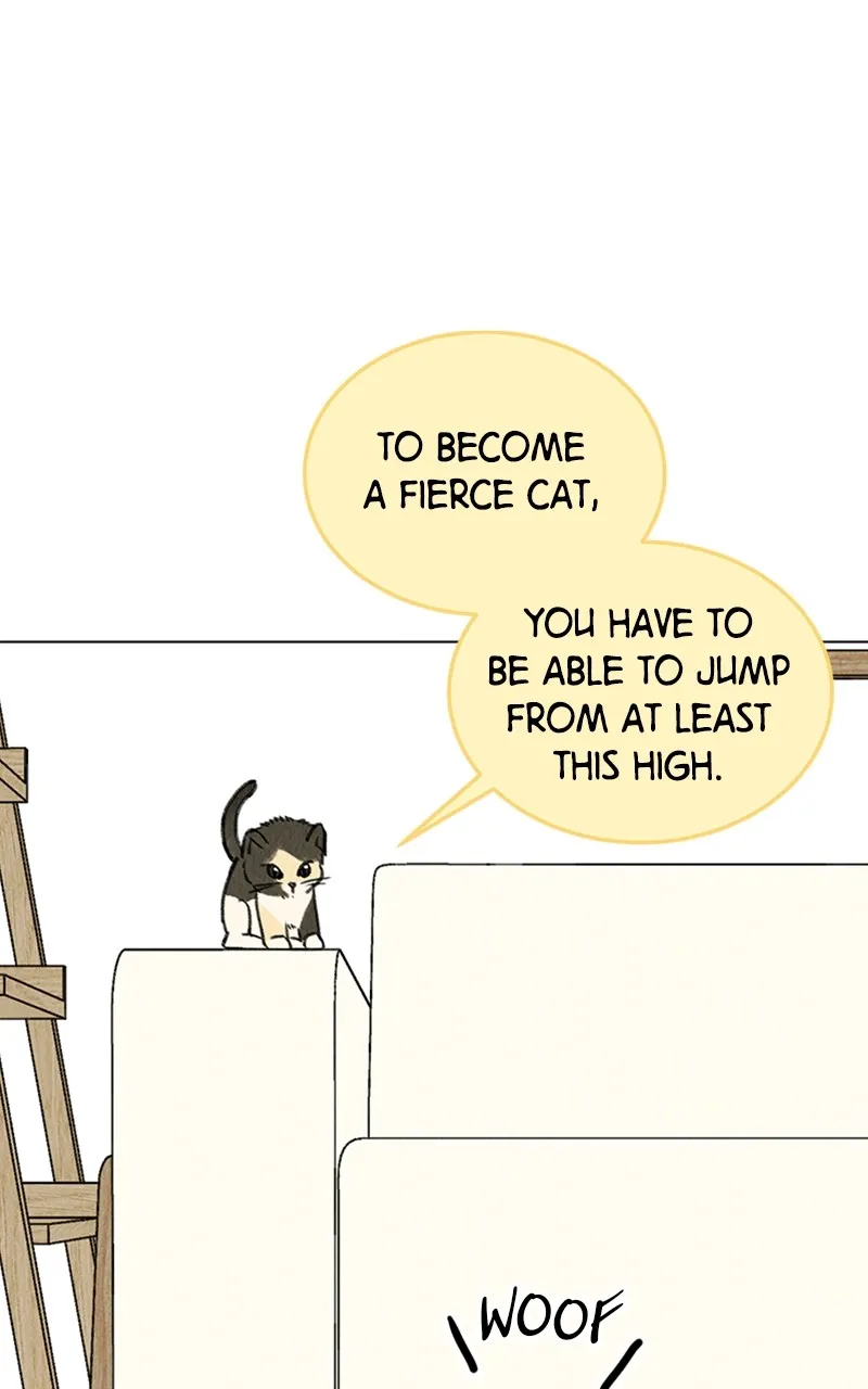 Want to See My Cat? Chapter 9 page 15 - 